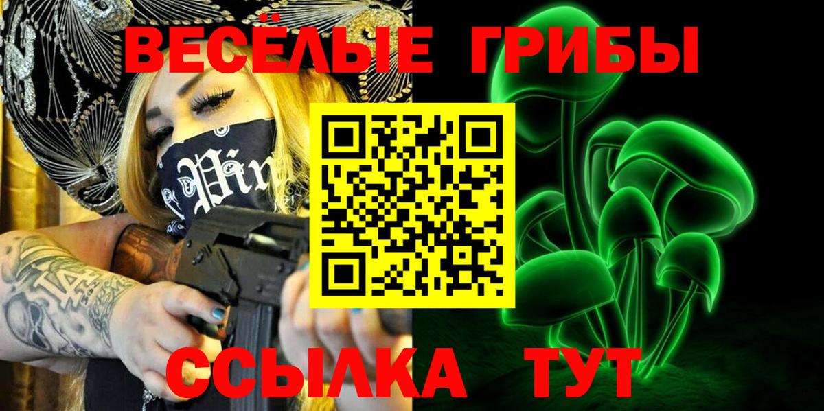 Псилоцибиновые грибы Cubensis Советская Гавань