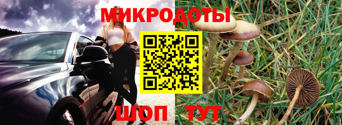 Псилоцибиновые грибы Psilocybe  Вход с VPN  Советская Гавань 